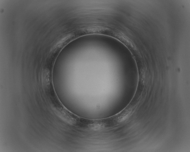 X0000074310356200608251241