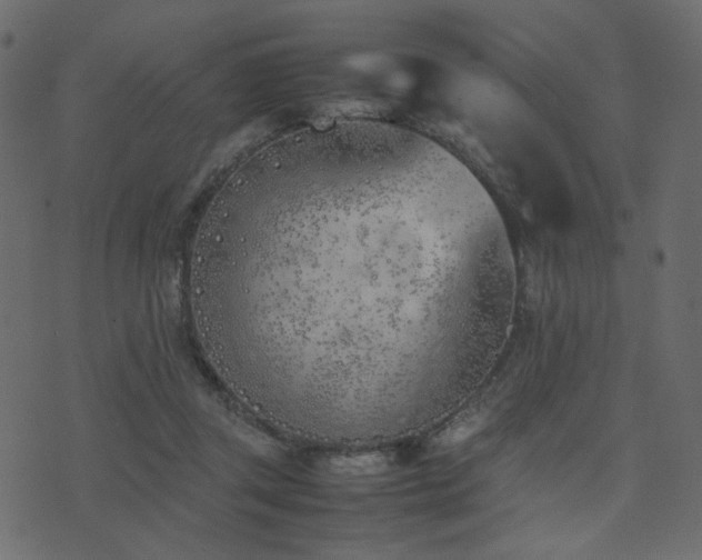 X0000074310357200608251241