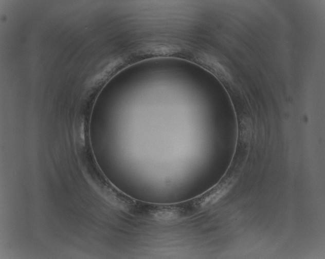 X0000074310358200608251241