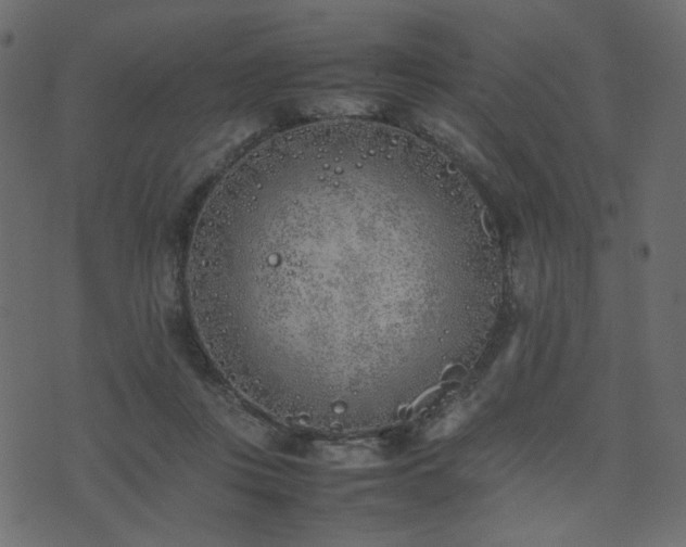 X0000074310359200608251241