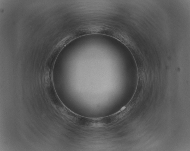 X0000074310360200608251241