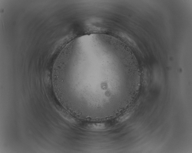 X0000074310361200608251241