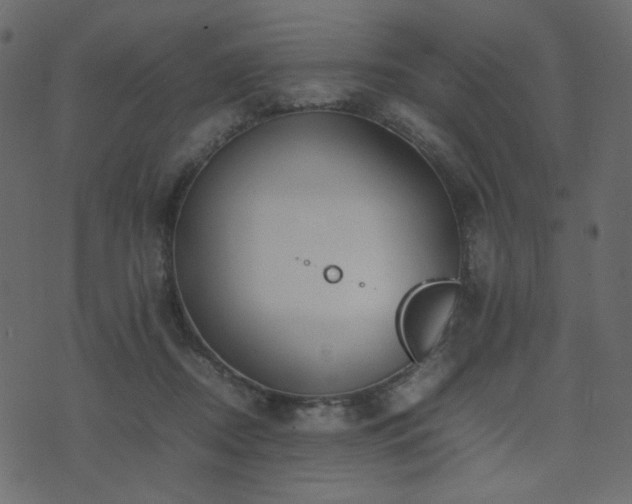 X0000074310362200608251241