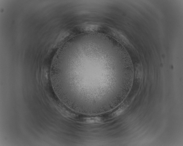 X0000074310363200608251241