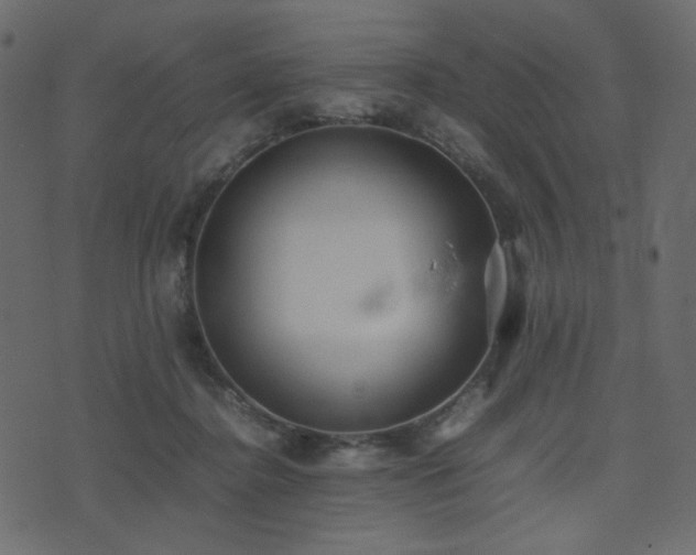 X0000074310364200608251241