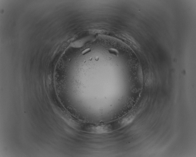 X0000074310365200608251241