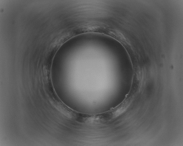 X0000074310366200608251241