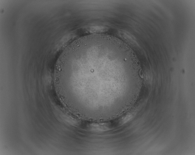 X0000074310367200608251241