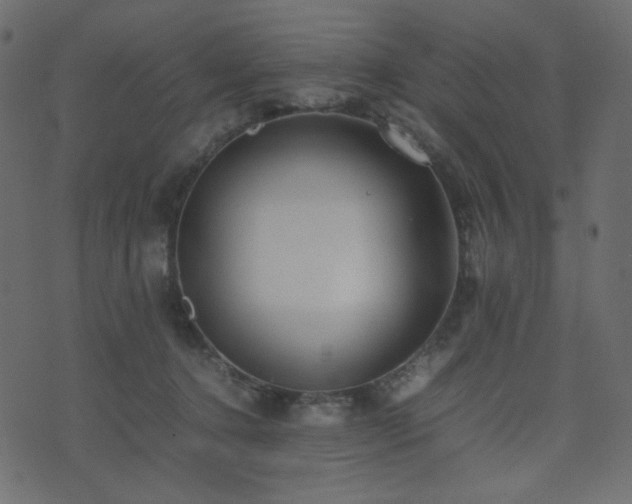 X0000074310368200608251241