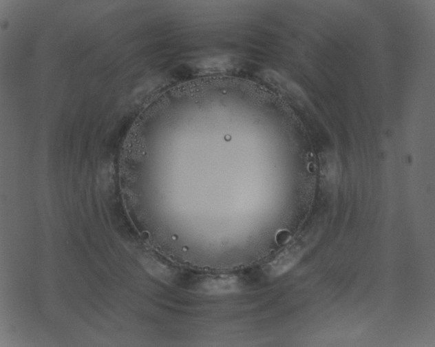 X0000074310369200608251241