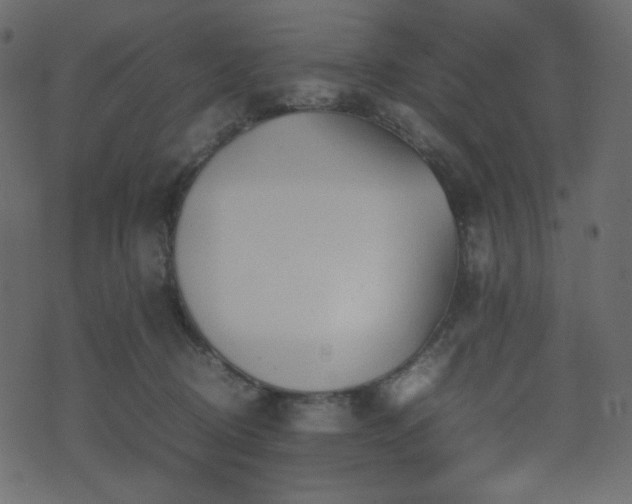 X0000074310370200608251241