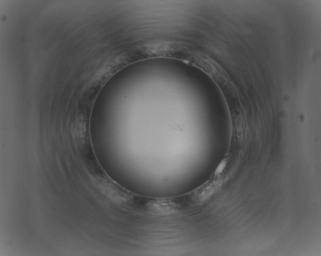 X0000074310372200608251242