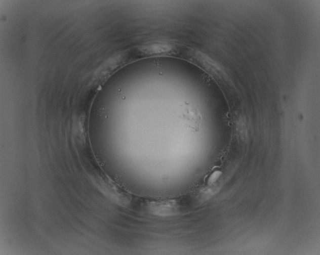 X0000074310373200608251242