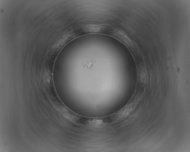 X0000074310374200608251242