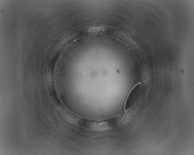 X0000074310375200608251242