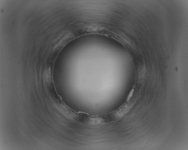 X0000074310376200608251242