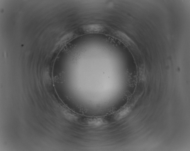 X0000074310377200608251242