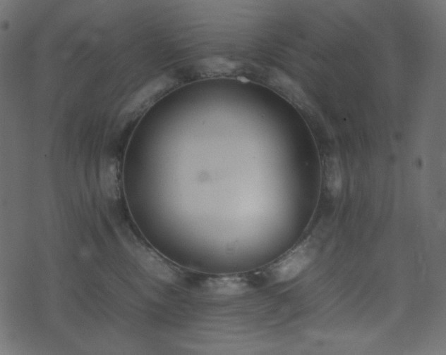 X0000074310378200608251242