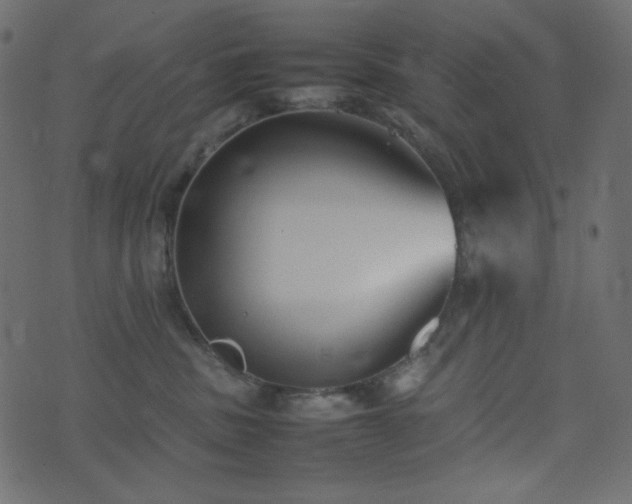 X0000074310379200608251242