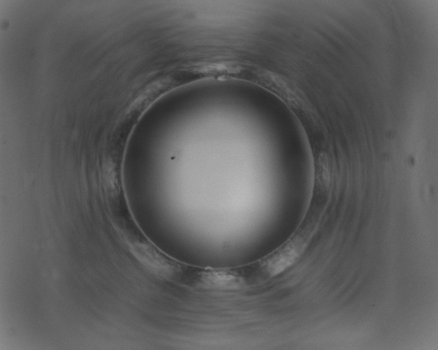 X0000074310380200608251242