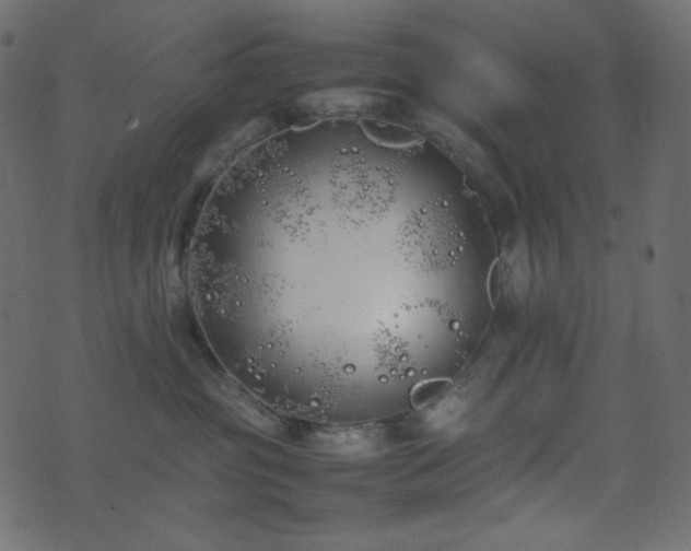 X0000074310381200608251242