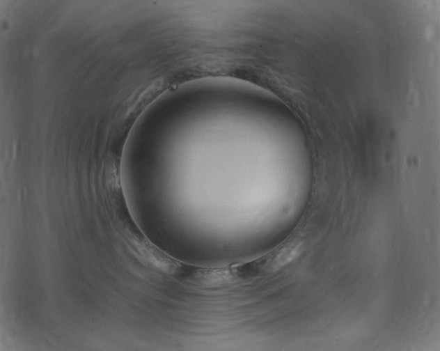 X0000074310384200608251242