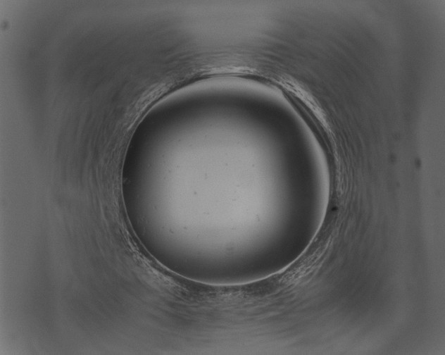 X0000074310385200608251241