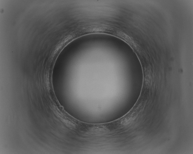 X0000074310386200608251241