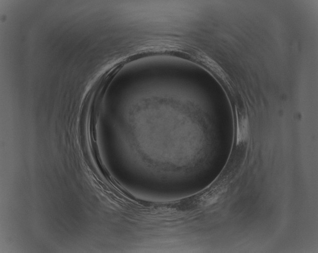 X0000074310387200608251241