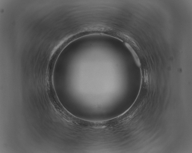 X0000074310388200608251241