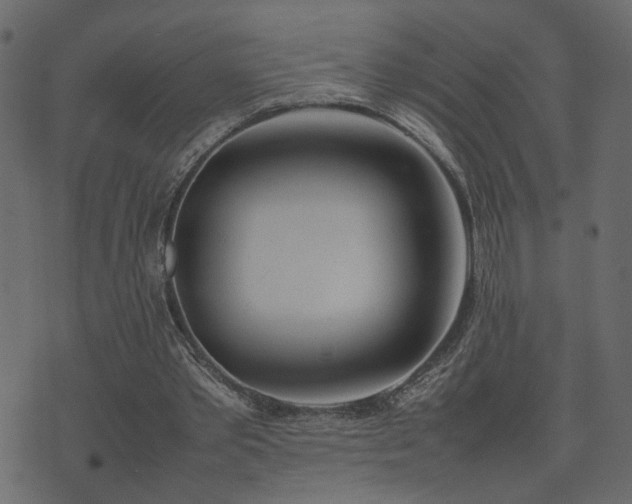 X0000074310389200608251241