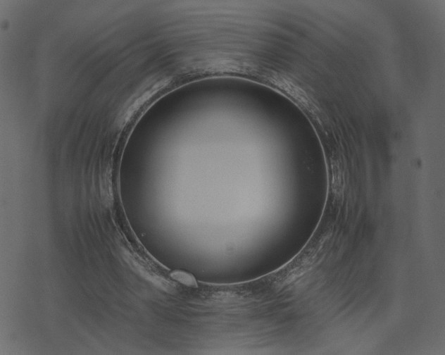 X0000074310390200608251241