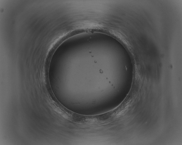 X0000074310391200608251241