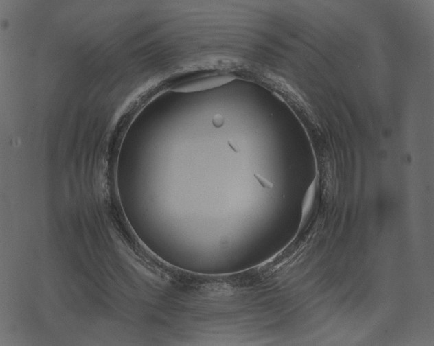 X0000074310392200608251241