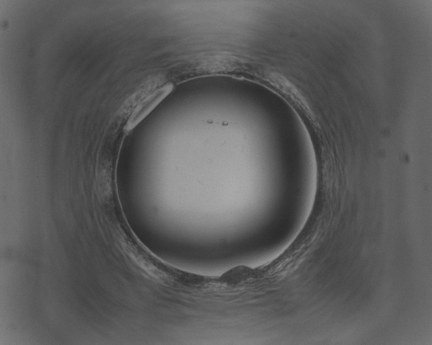 X0000074310393200608251241