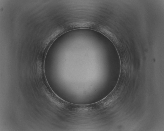 X0000074310394200608251241