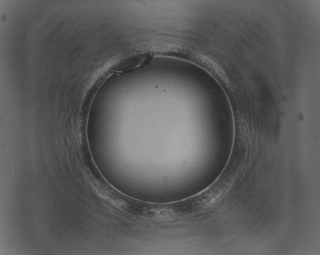 X0000074310395200608251241