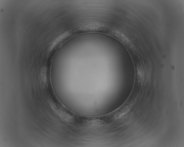 X0000074310396200608251241