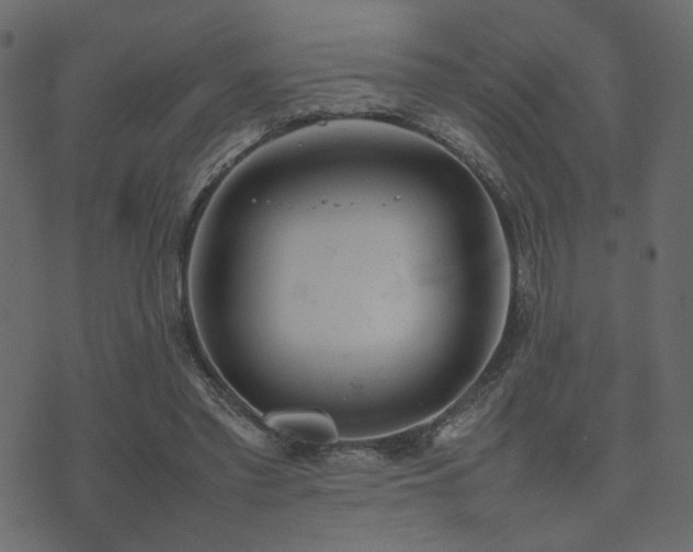 X0000074310397200608251241