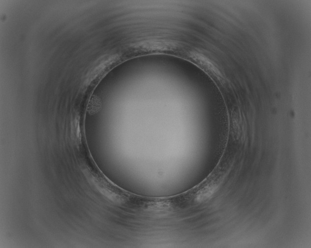 X0000074310398200608251241