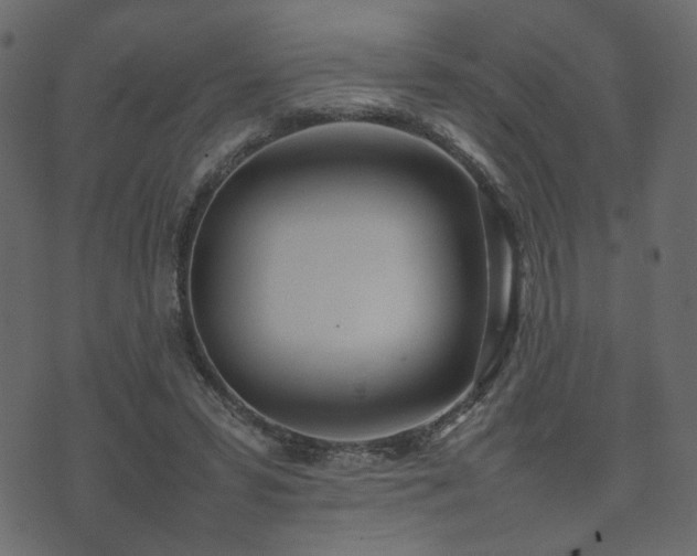 X0000074310399200608251241