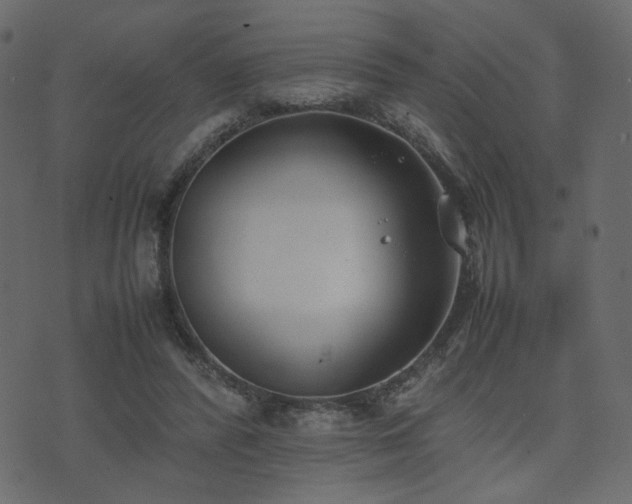 X0000074310400200608251241