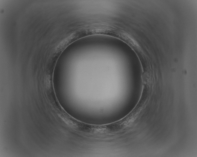 X0000074310401200608251241