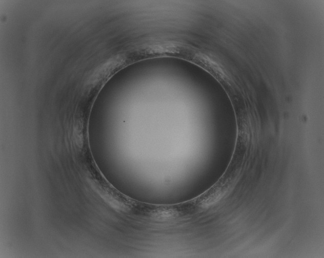 X0000074310402200608251241