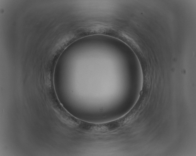 X0000074310403200608251241