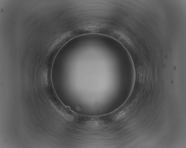 X0000074310404200608251241