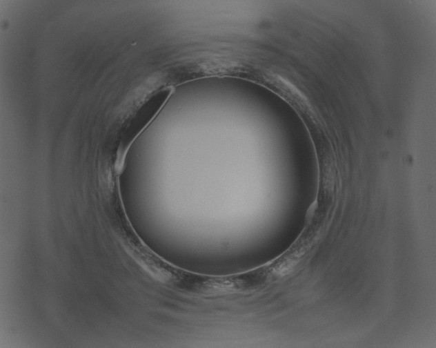 X0000074310405200608251241