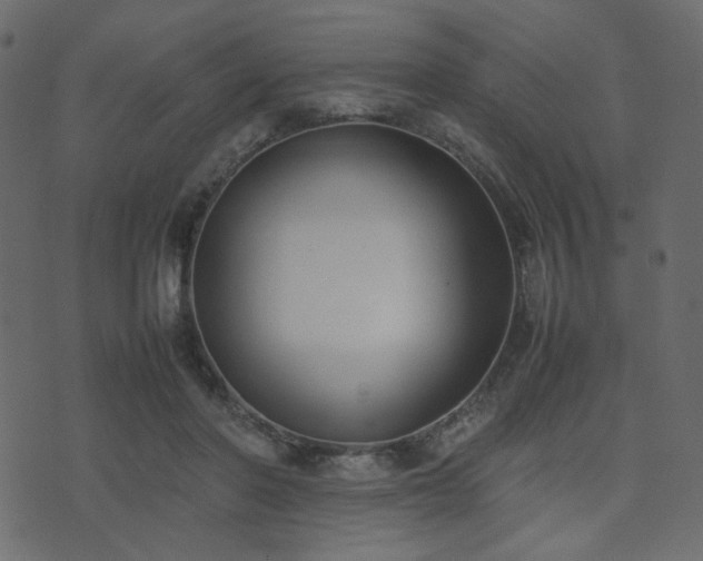 X0000074310406200608251241