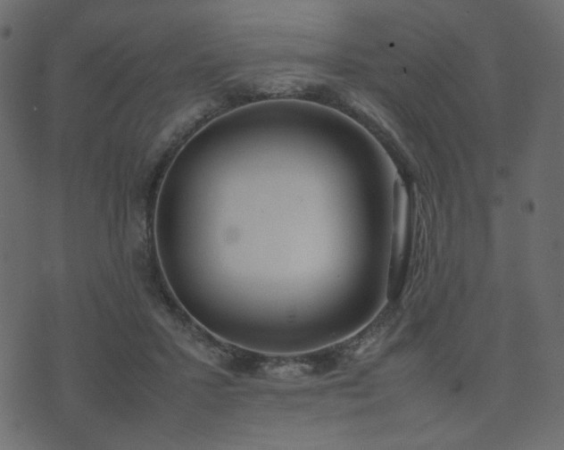 X0000074310407200608251241