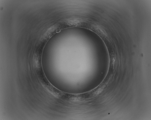 X0000074310408200608251241